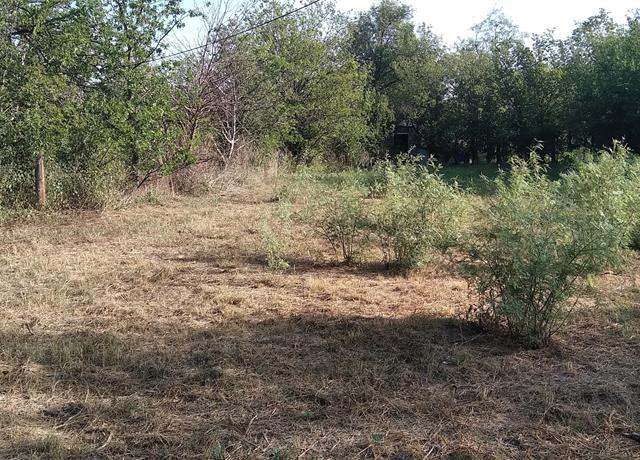 Property at 906 Cottonwood St, Coleman, TX 76834