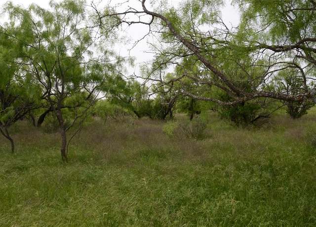 Property at TBD CR 112, Clyde, TX 79504