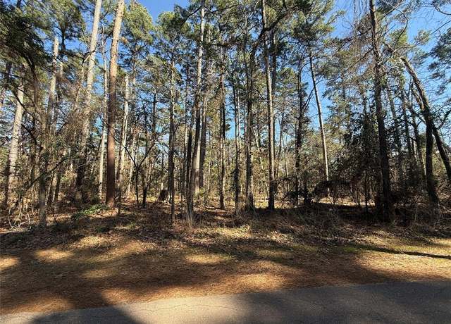 Property at Lot 3 Private Road 8573, Winnsboro, TX 75494