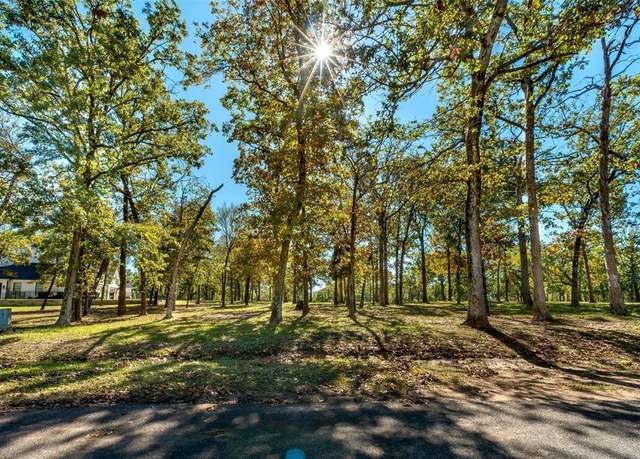 Property at 417 Saint Andrews Dr, Mabank, TX 75156
