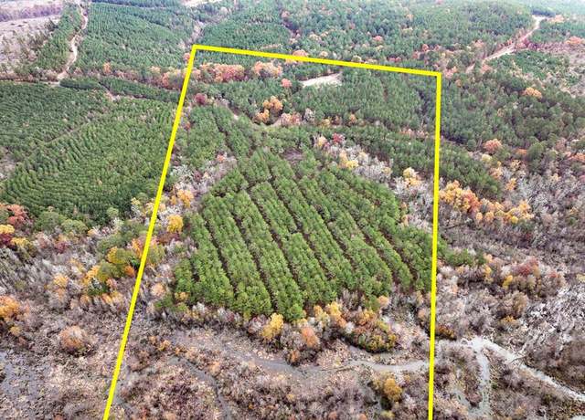 Property at 0 CR 1651, Avinger, TX 75630