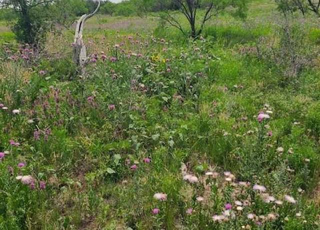 Property at 5860 County Road 423, Cisco, TX 76437