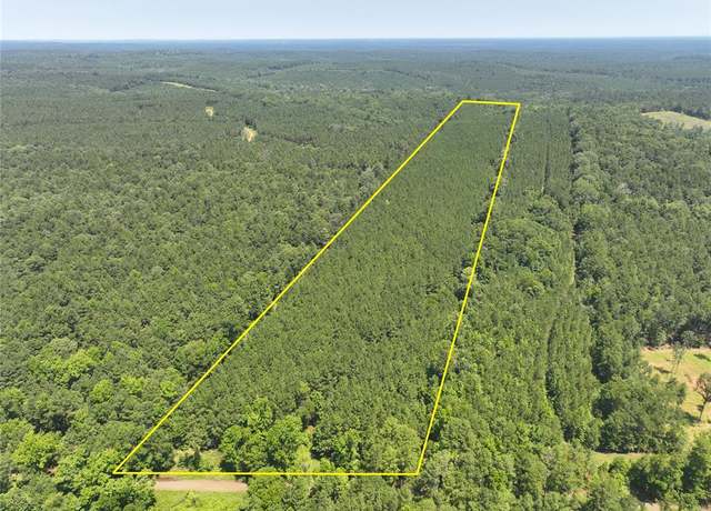 Property at 1 Carters Ferry Rd, Hemphill, TX 75959