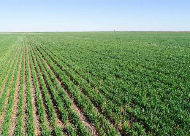 Property at TBD County Rd 81 S, Vernon, TX 76384