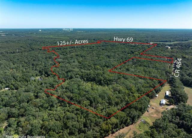 Property at 00 Hwy 69 / CR 484, Mineola, TX 75773
