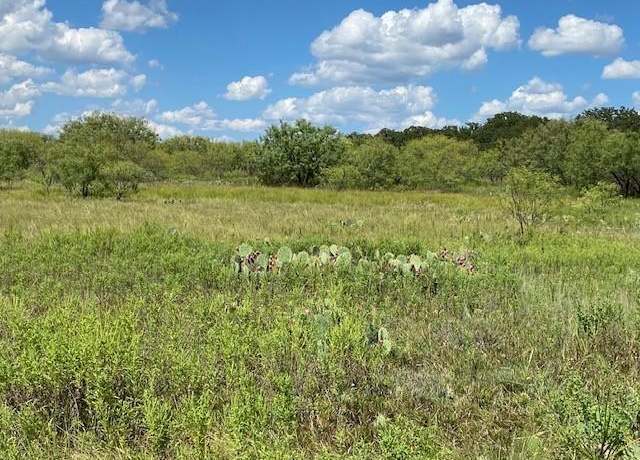 Property at 0000 County Road 334, Blanket, TX 76432