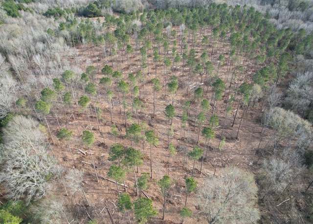 Property at Tract B County Road 4037, Timpson, TX 75975