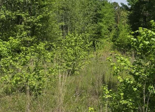 Property at TBD County Road 421, Tyler, TX 75704