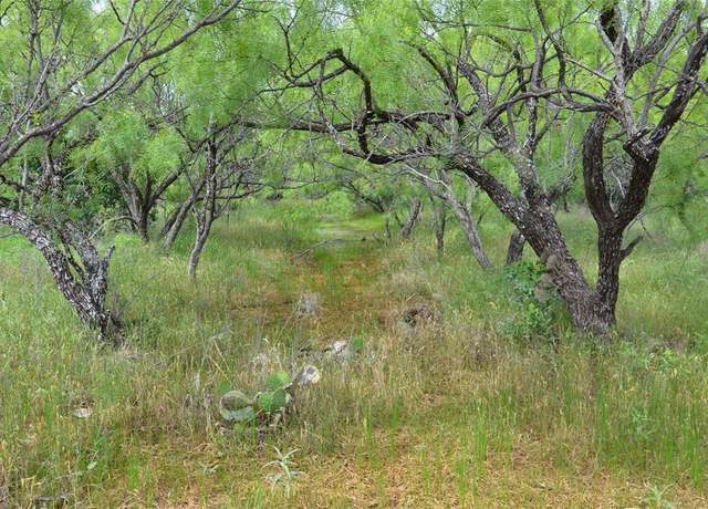 Property at TBD CR 119, Clyde, TX 79504