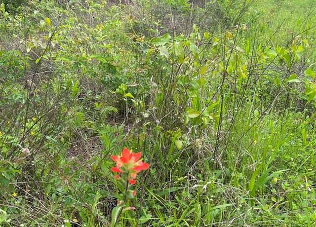 Property at TBD VZ County Road 2908, Eustace, TX 75124