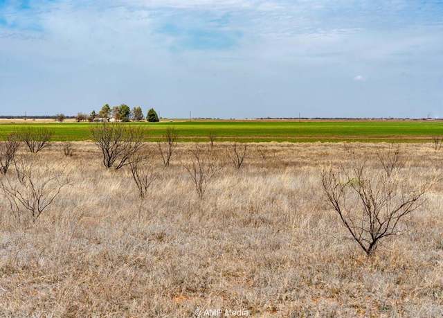 Property at TBD COUNTY ROAD 364, Anson, TX 79501