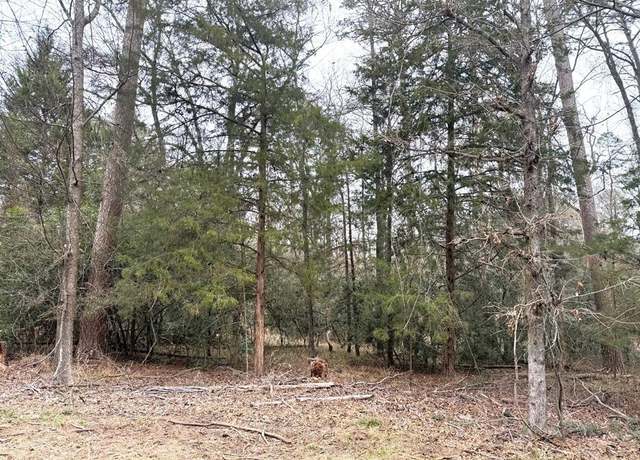 Property at Lots 316 & 317 Brazos Bnd, Holly Lake Ranch, TX 75765