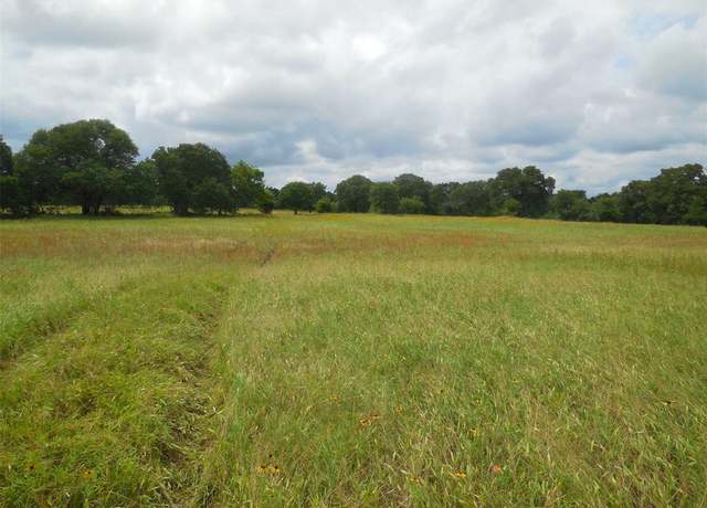 Property at TBD County Road 488, Ranger, TX 76470