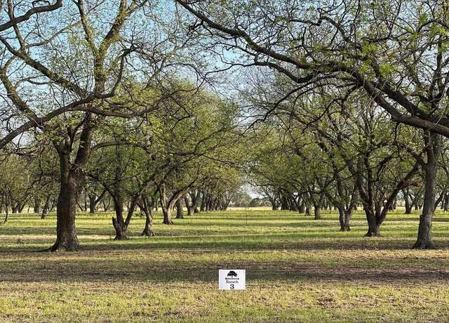 Property at TBD CR 461, De Leon, TX 76444