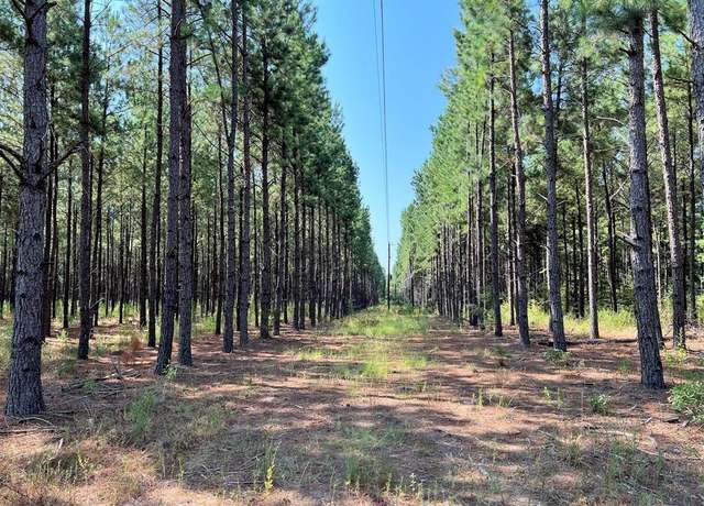 Property at 000 County Road 2138, Troup, TX 75789