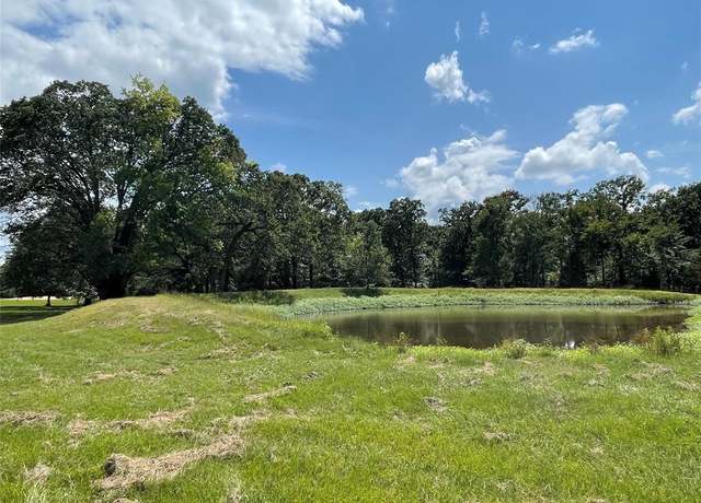 Property at Lot 4 Rains Co Rd 2420, Alba, TX 75410