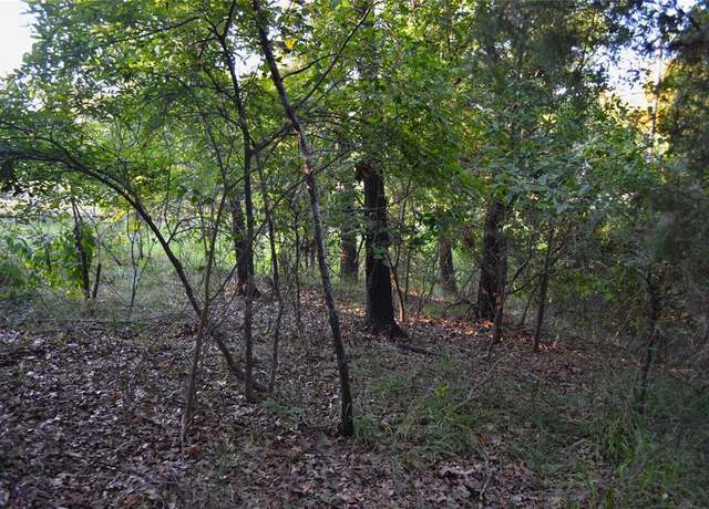Property at 000 Goliad Dr, Log Cabin, TX 75148