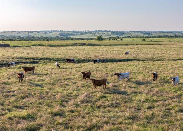 Property at 000 FM 51 Rd, Sanger, TX 76226