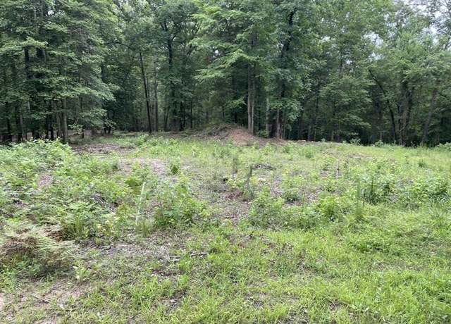 Property at 1688 County Road 1597, Avinger, TX 75630