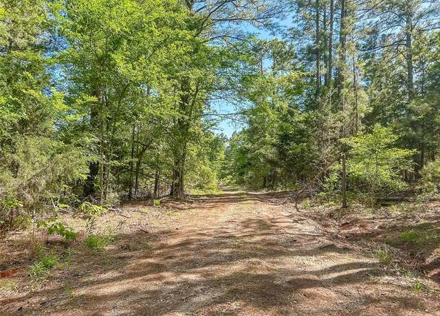 Property at TBD CR 4814, Ben Wheeler, TX 75754