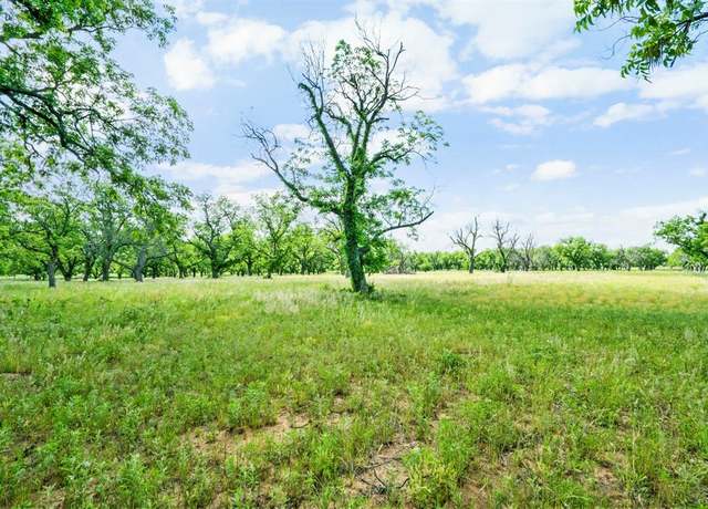 Property at 179 County Road 348, Gorman, TX 76454