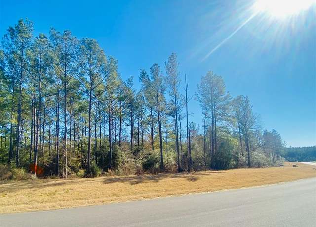 Property at 15396 Forest Grove Dr, Willis, TX 77378