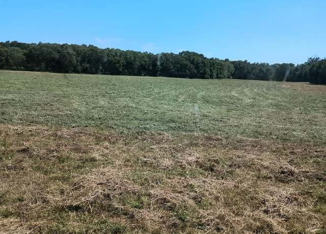 Property at TBD ST Hwy 37, Winnsboro, TX 75494