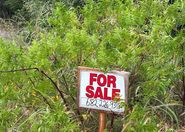 Property at 215 Pinnacle Ct, Bluff Dale, TX 76433