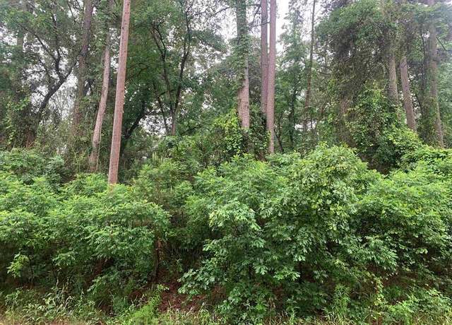 Property at TBD Canadian Dr, Scroggins, TX 75480