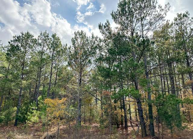 Property at 000 CR 2115, Hughes Springs, TX 75656