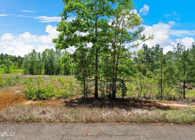 Property at 250 Martin Rd, Plain Dealing, LA 71064