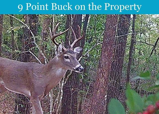 Property at 0 E PR 6150, Woodville, TX 75979