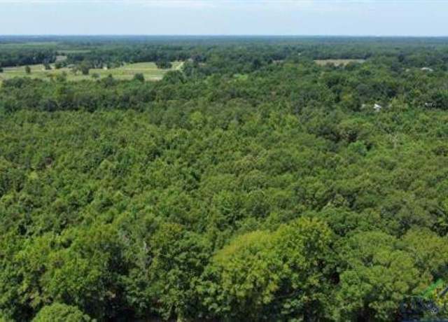 Property at CR 1203 Central Rd, Daingerfield, TX 75638