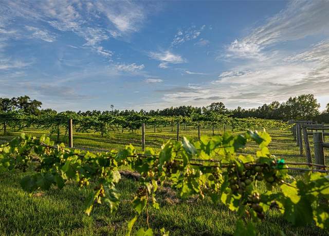 Property at 00 County Road 2138, Troup, TX 75789