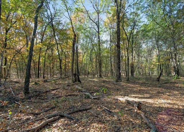 Property at 1602 Farm Road 1510, Brookston, TX 75421
