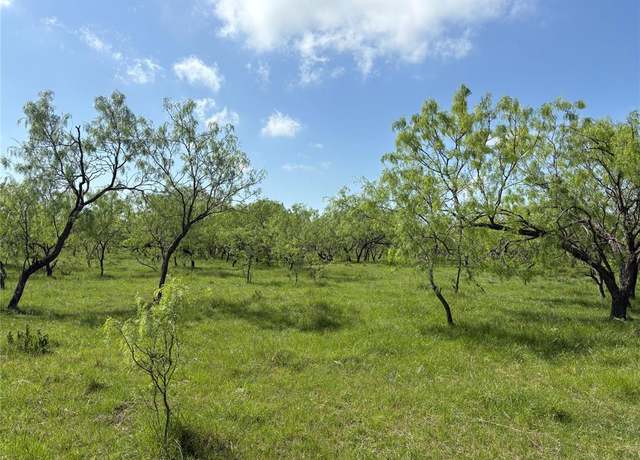 Property at TBD NW CR 4160, Frost, TX 76641