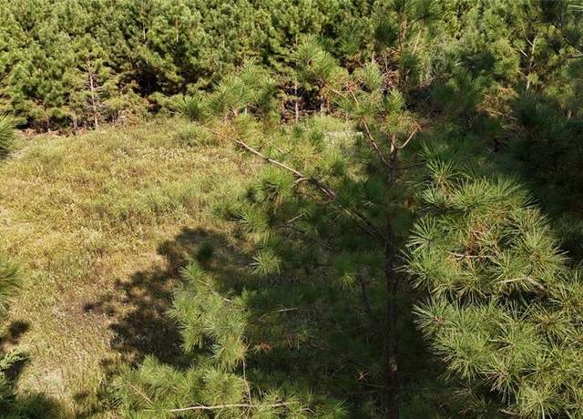 Property at TBD County Road 3121, Henderson, TX 75669