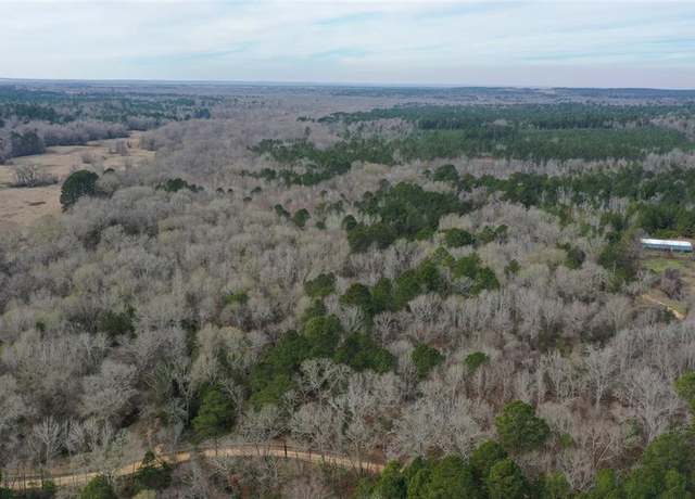 Property at TBD Lot 3 County Road 2240, Grapeland, TX 75844
