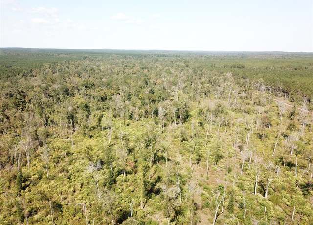 Property at 00 Off Evans Gann Rd, Lufkin, TX 75904