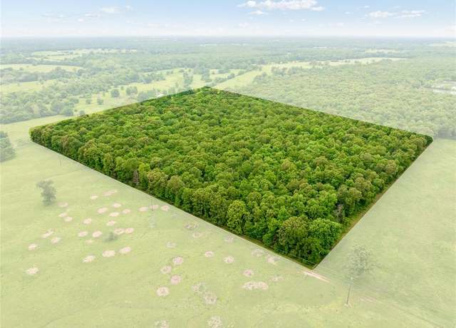 Property at TBD Farm to Market 194, Blossom, TX 75416