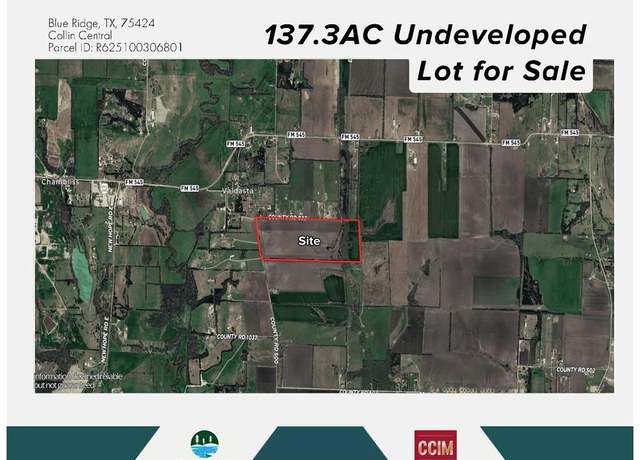 Property at TBD 137.3AC County Road 832, Blue Ridge, TX 75424