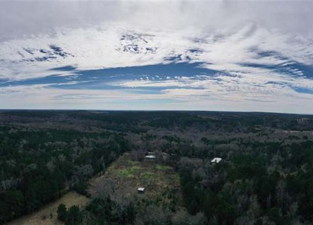 Property at TBD Lot 4 County Road 2240, Grapeland, TX 75844