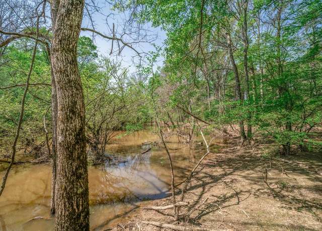 Property at TBD S Diana, Diana, TX 75640