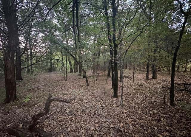 Property at 776 Palisades Dr, Gordonville, TX 76245