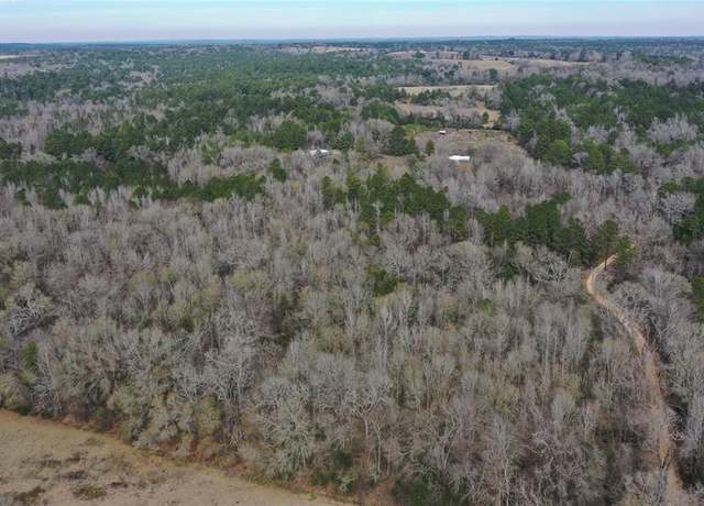 Property at TBD Lot 5 County Road 2240, Grapeland, TX 75844