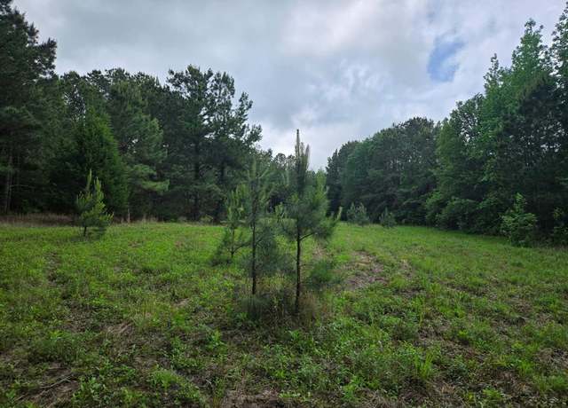 Property at 500 Uren Lee Rd, Overton, TX 75684