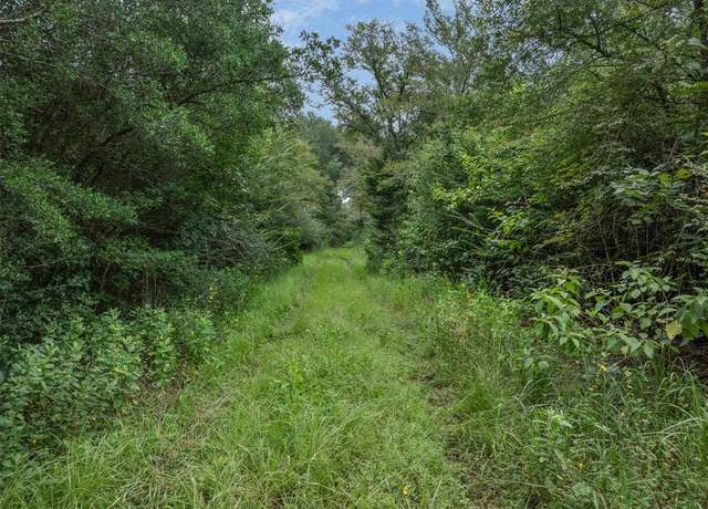 Property at TBD West Caney Rd, Normangee, TX 77871
