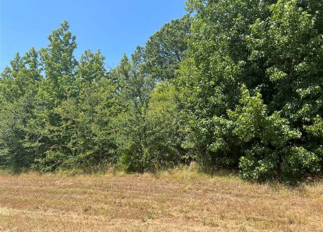 Property at 000 FM 3042, Pittsburg, TX 75686
