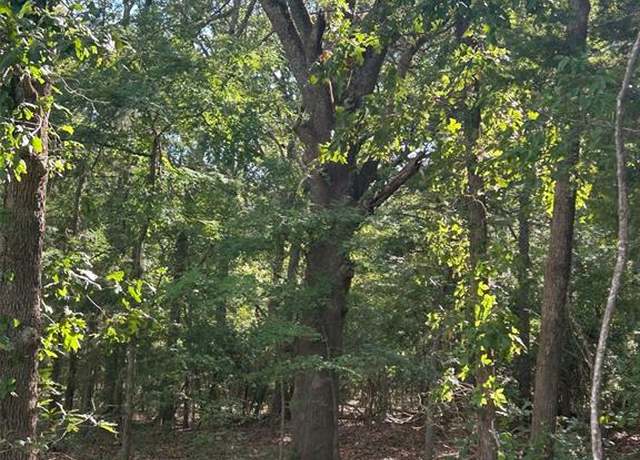 Property at 35 PR 43955, Blossom, TX 75416