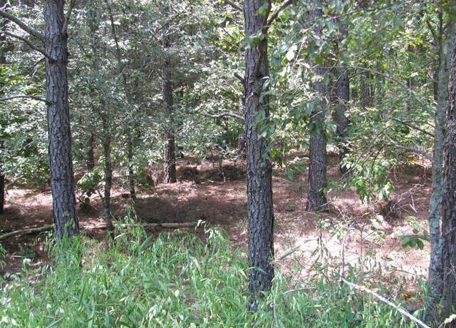 Property at TBD Josee's Journey, Nashoba, OK 74558